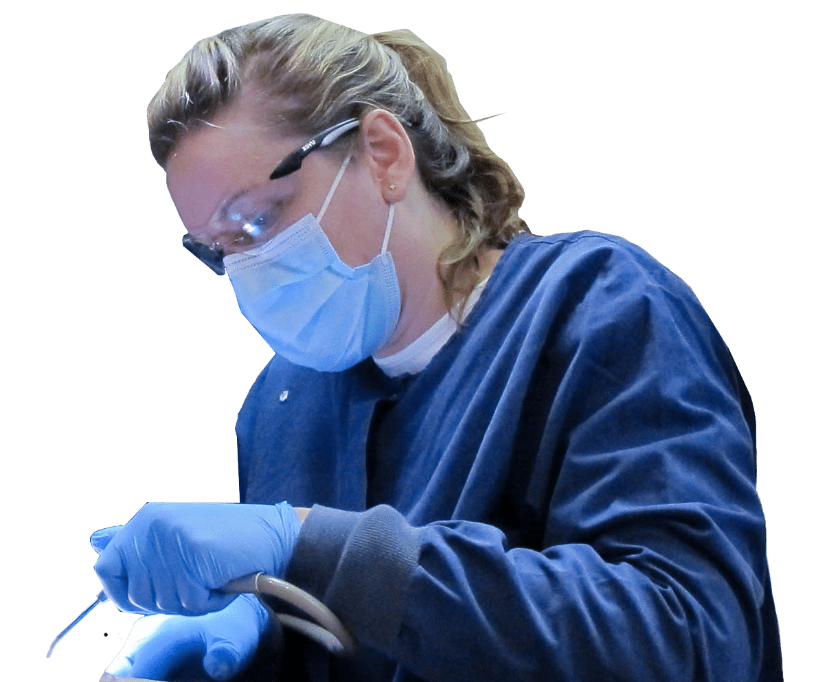 dental therapist giving dental exam