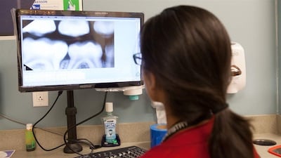 dental therapist looking at X-Ray
